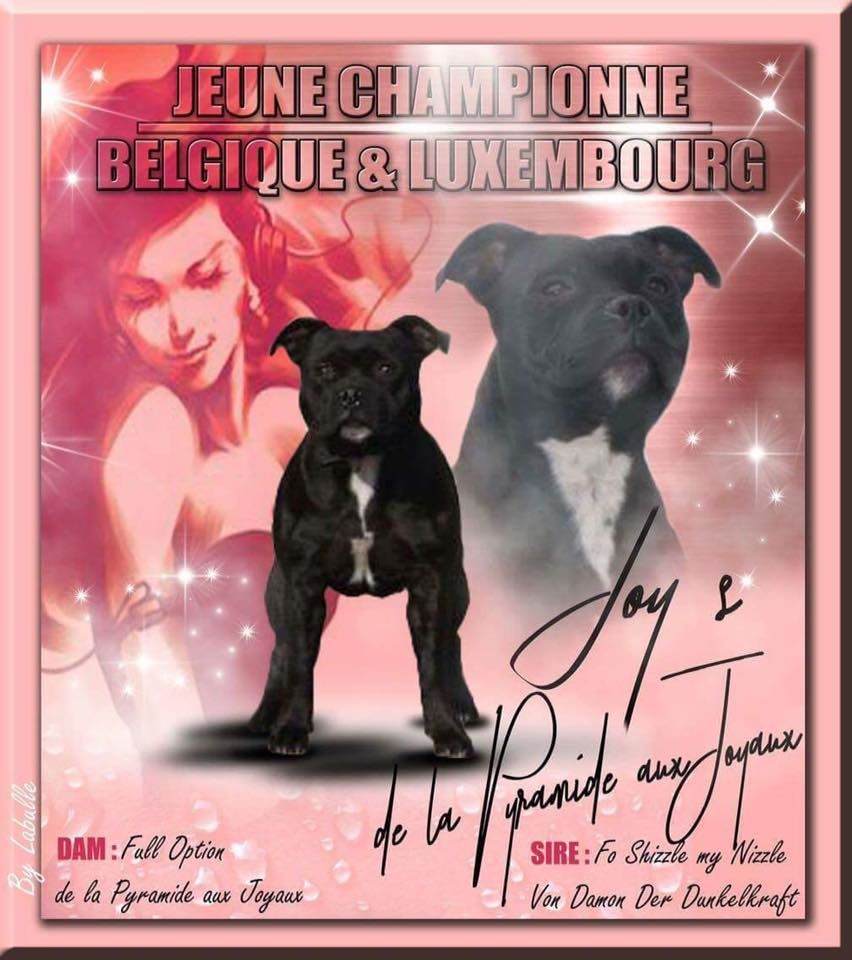 Jch Joy's de la pyramide aux joyaux