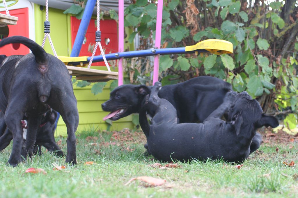 retrouvaille des babys (5 mois)